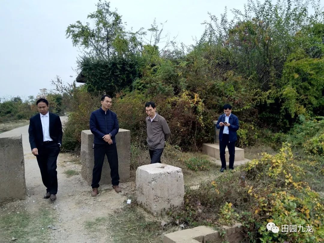 上饶市文广新旅局到九龙镇润溪调研指导工作
