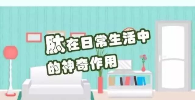 肽在日常生活中的神奇作用！