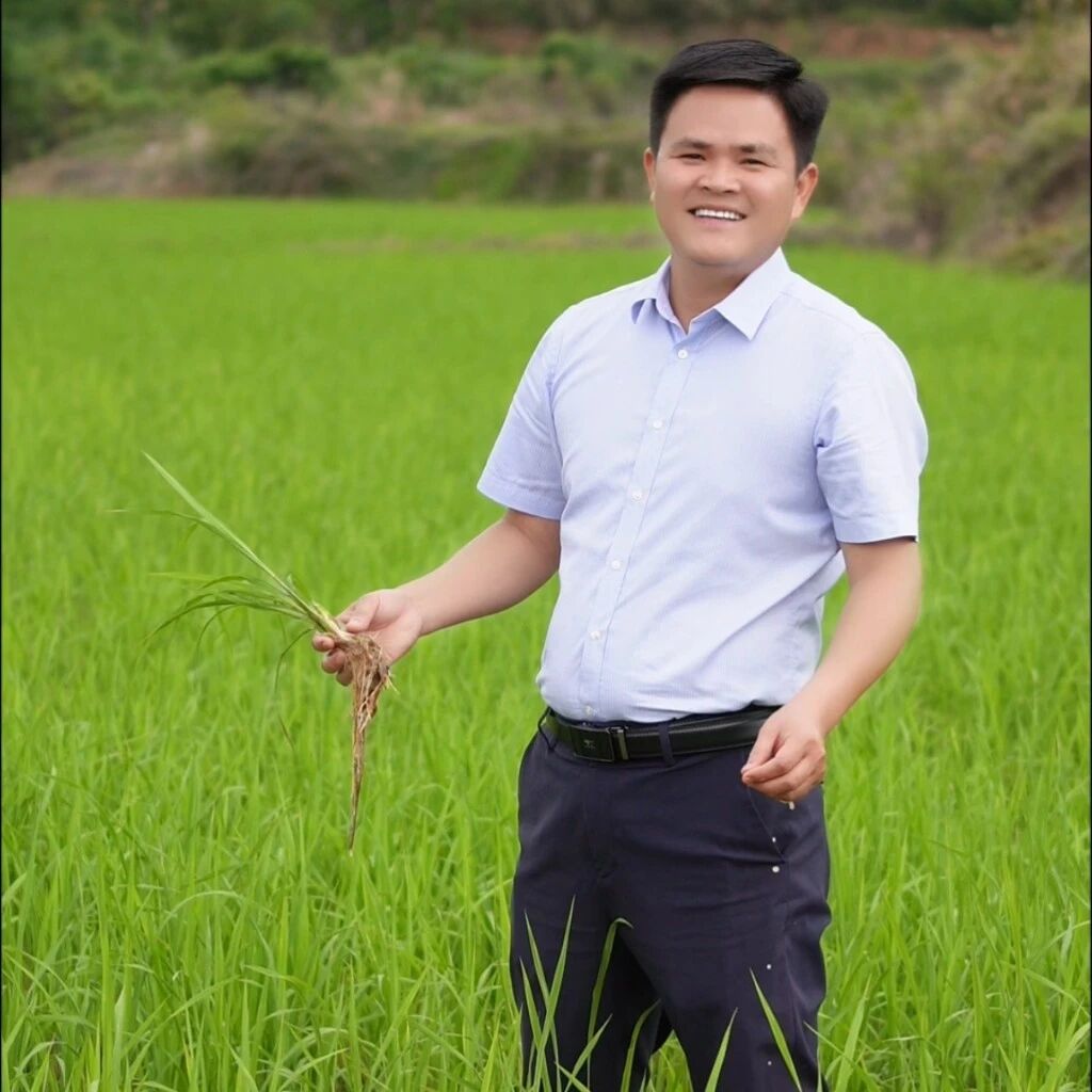 大表哥在乡村