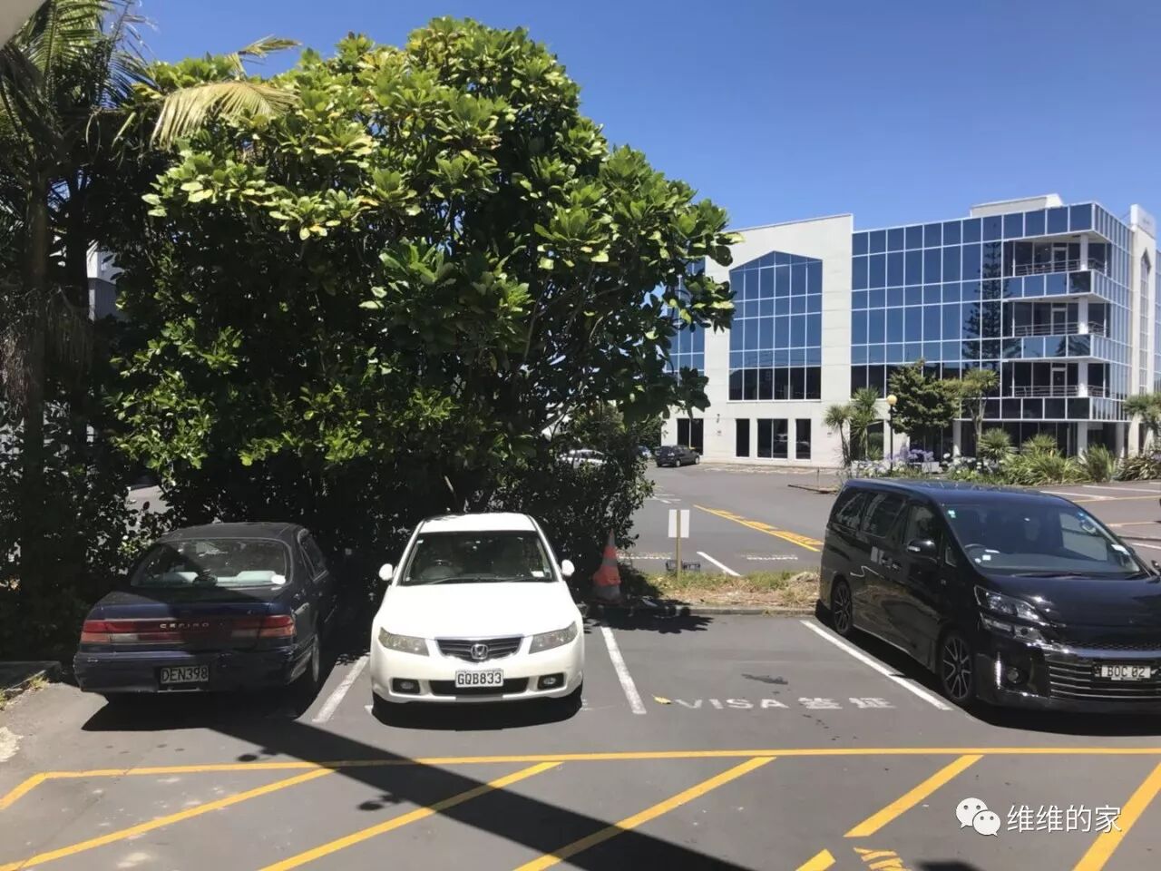 人在新西兰，如何更换护照以及办理委托公证