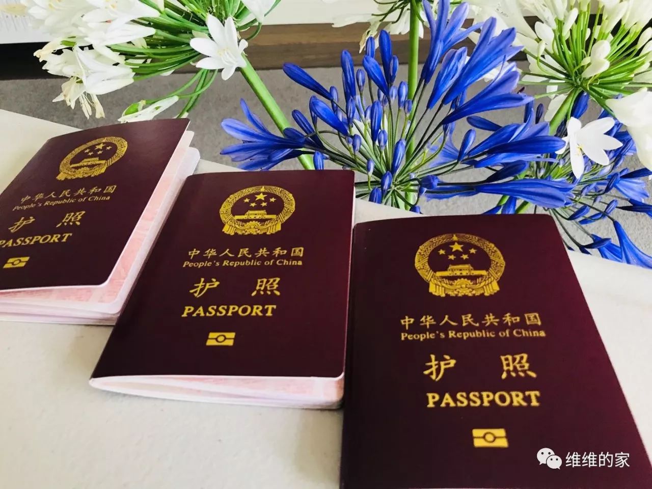 人在新西兰，如何更换护照以及办理委托公证