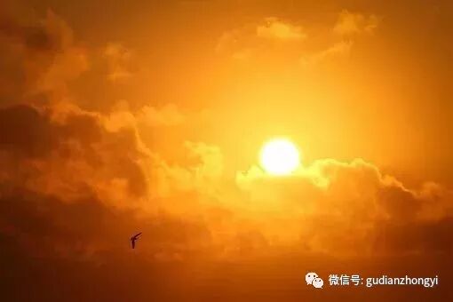 阳气不到的地方就是病！真正的阳气只能养、不能补！