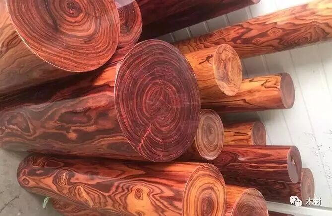血檀价格再现疯涨,非洲木材商或将迎来"红红火火"的2017下半年