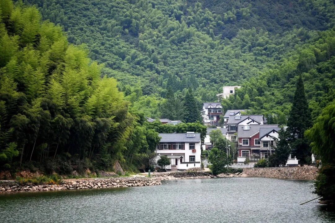 离不开到如今的"网红村"从名不见经传的小山村青山村黄湖镇青山村上榜