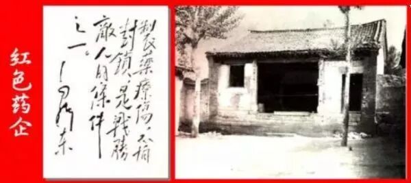 小柴胡的红&黑历史