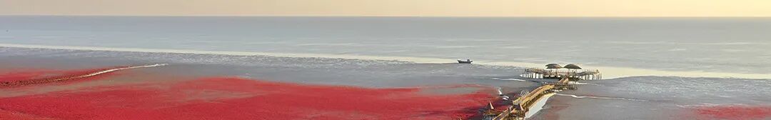 AD105怎么读明星学员｜总分105，托福阅读满分！跟着学长掌握阅读模块整体提分攻略！_https://www.jmylbn.com_新闻资讯_第4张