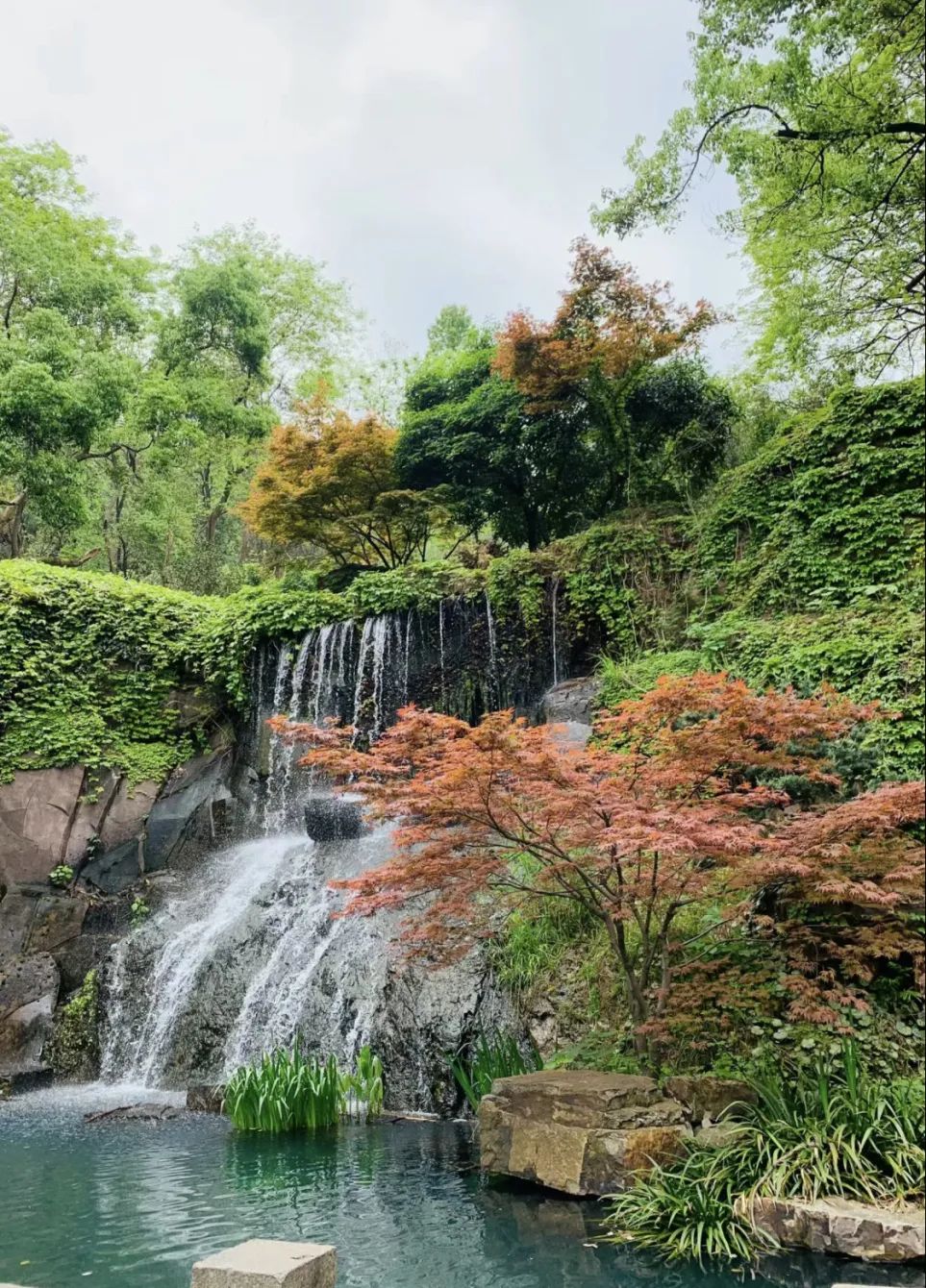 岳麓山风景图片