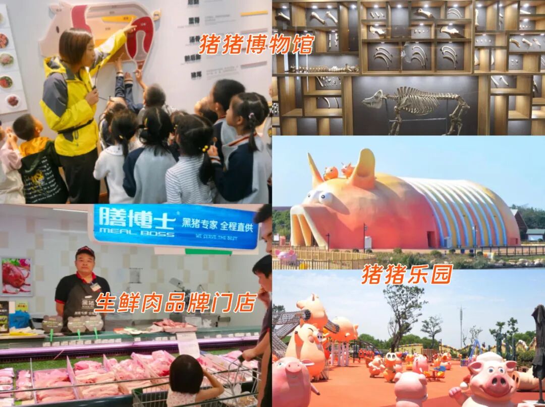 医用海藻棒怎么取建议两餐之间给娃吃点它！这几种食物营养高，娃吃了身体棒棒的_https://www.jmylbn.com_新闻资讯_第51张