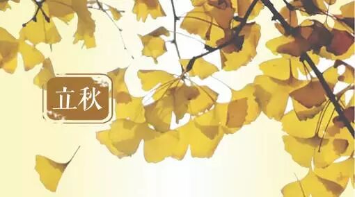 关于立秋的这些事,你知道吗?