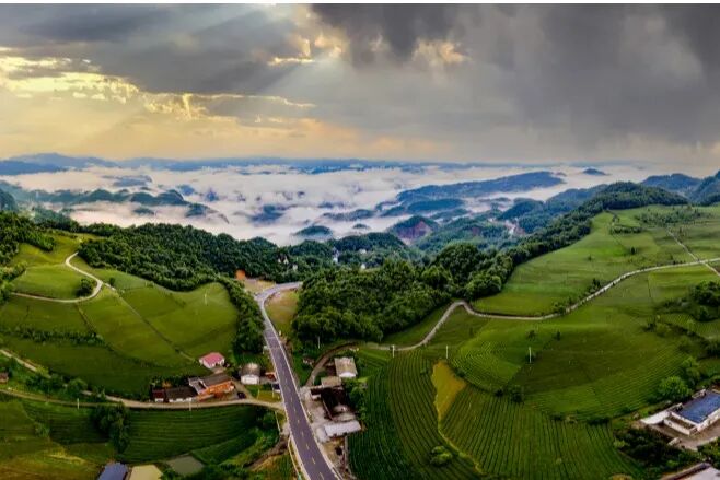 【云上五峰 自在土家】乡村旅游线路仁和坪镇:花样牧场·仁爱之乡