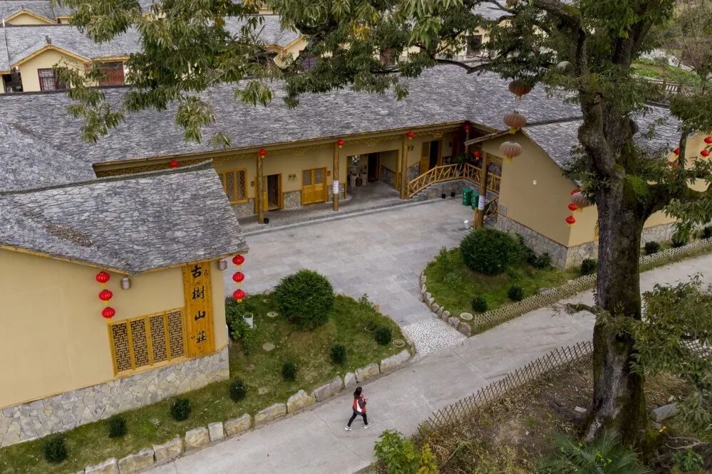 【云上五峰 自在土家】乡村旅游线路仁和坪镇:花样牧场·仁爱之乡