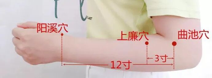 一个治疗脱发的有效穴