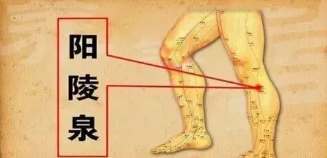 电位疏导器怎么使用高树中针药并用辨治疑难病案三则_https://www.jmylbn.com_新闻资讯_第3张