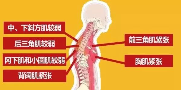 雙十一爆賣單品花落誰家？我猜是Angelababy的