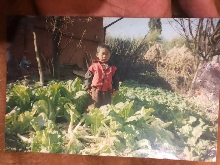 家暴纵火案儿子跟父亲家亲戚断联