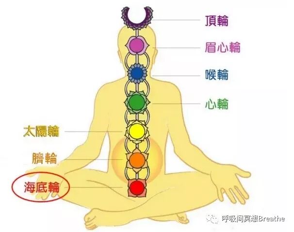 14《吸引金钱,丰盛富足》第一脉轮—海底轮冥想能量工作坊 预约报名
