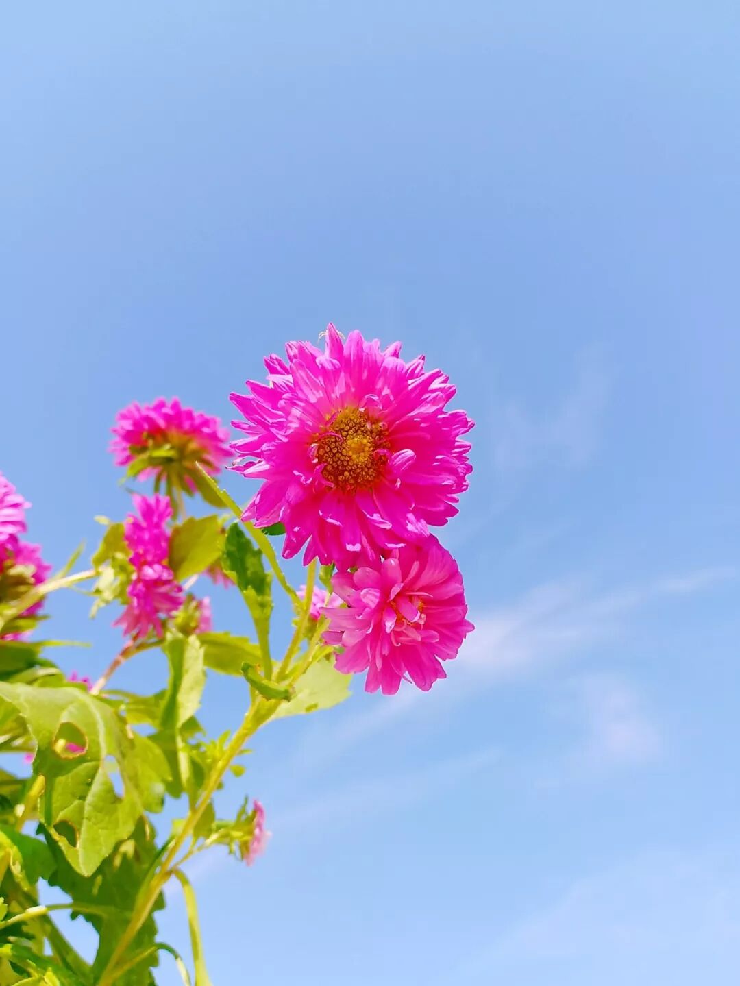 早听：感恩，所有对我好的人