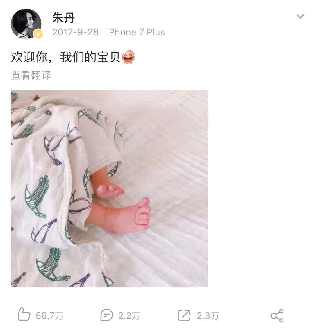 纱布卷怎么卷预告丨夏季专场，Nest Designs新品睡袋来啦！还有家居服和成人款_https://www.jmylbn.com_新闻资讯_第32张