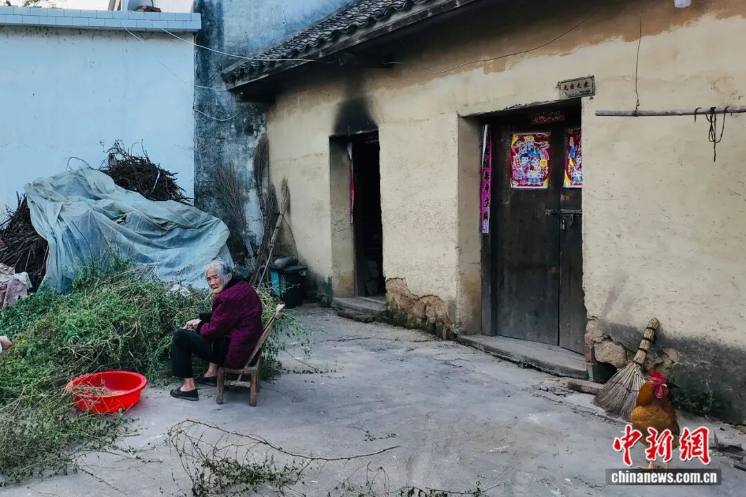 ͼƬ