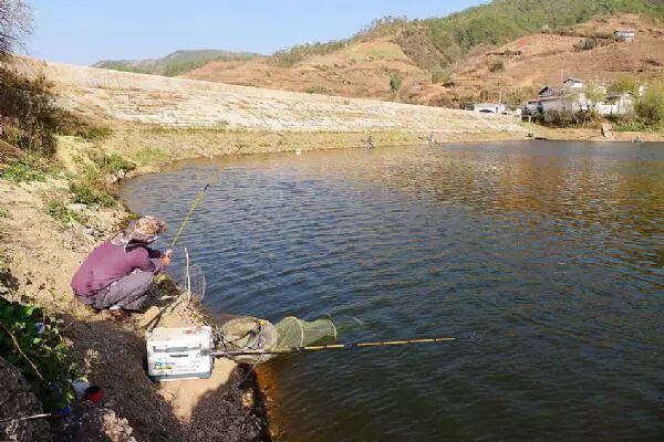 佳钓尼渔具,钓鱼人的老俗语：地上的耗子，水中的鲤拐子- 佳钓尼渔具 