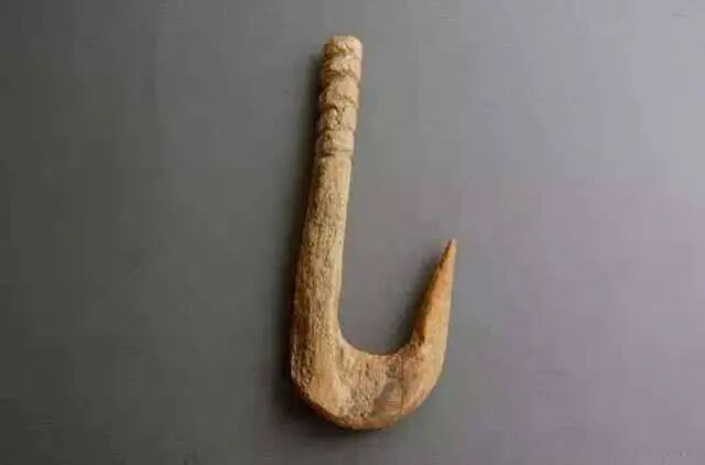 垂钓鲶鱼_刺须鲶鱼哪里钓_刺鱼鲶鱼哪里钓