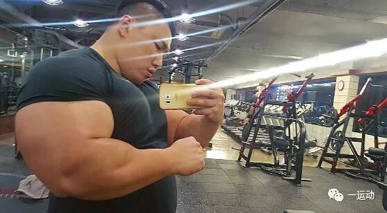 40厘米臂围被嘲笑是脂肪臂 那臂围练到多少才有不错视觉效果 一运动 微信公众号文章阅读 Wemp