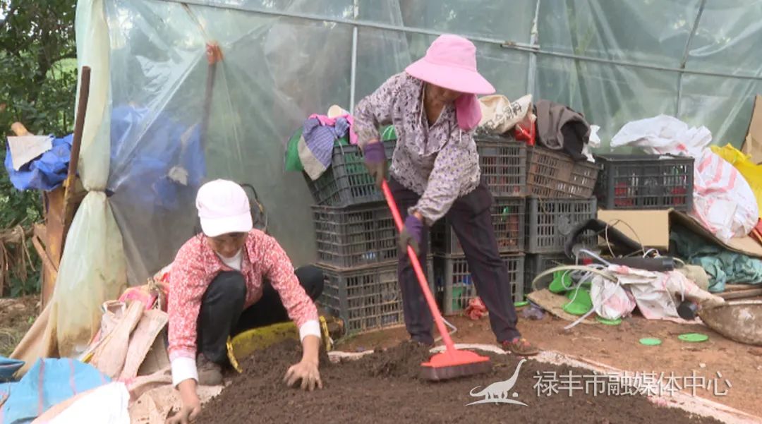 农村致富小项目养黄鳝_养驴是农村致富的好项目_养致富经