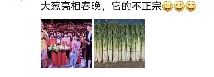 山东春晚_徐志胜扛山东大葱上春晚_山东水利建设处徐胜