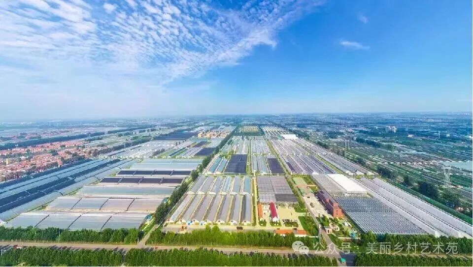 寿光奋力建设农业农村现代化县域示范样板凤凰网山东_凤凰网