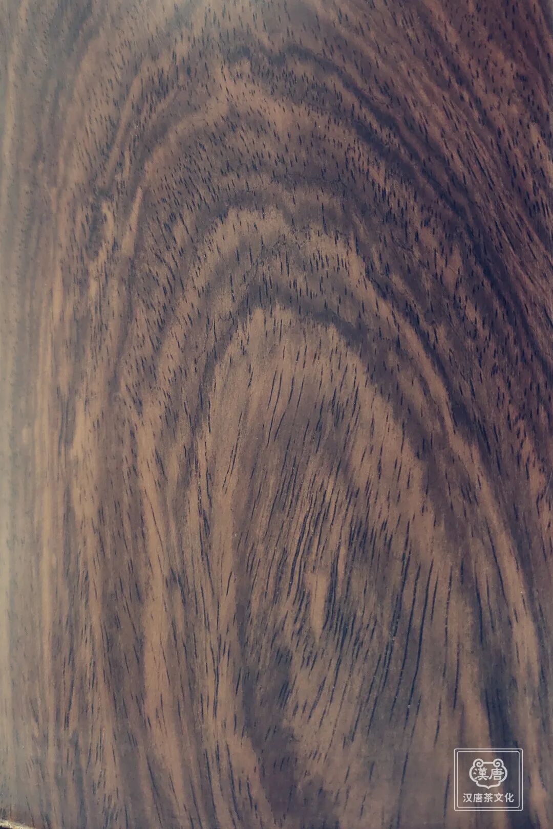 千色阅尽，我自独黑插图6