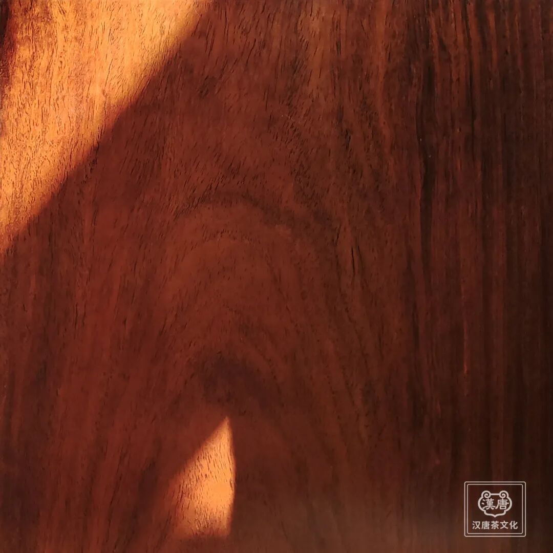 千色阅尽，我自独黑插图4