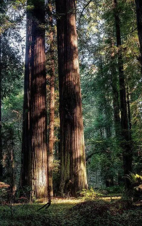 为不想正坐的人，量身设计一把躺坐小椅插图16