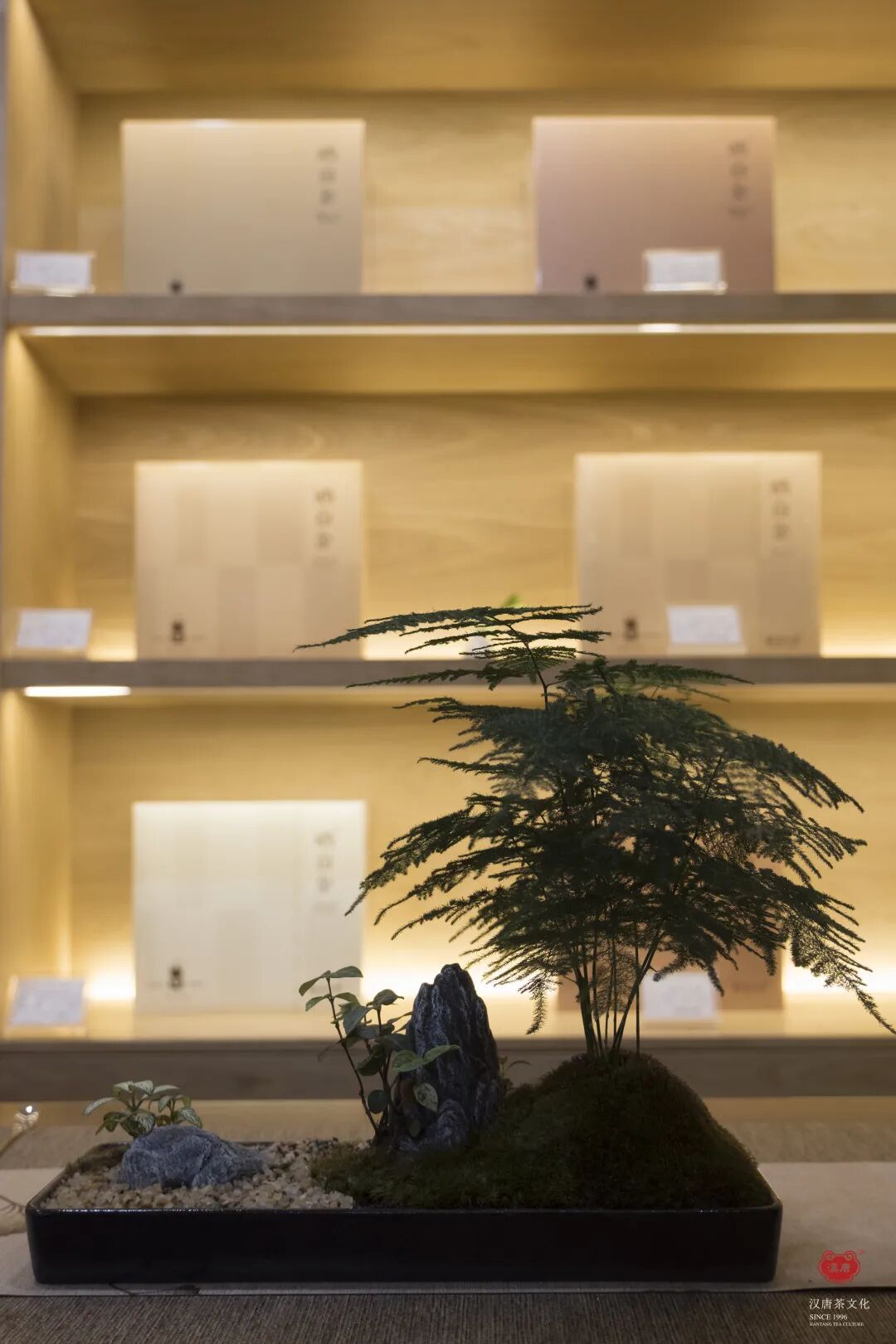 茶品牌体验空间巡礼第四辑 | CBD里的摩登品品香插图9