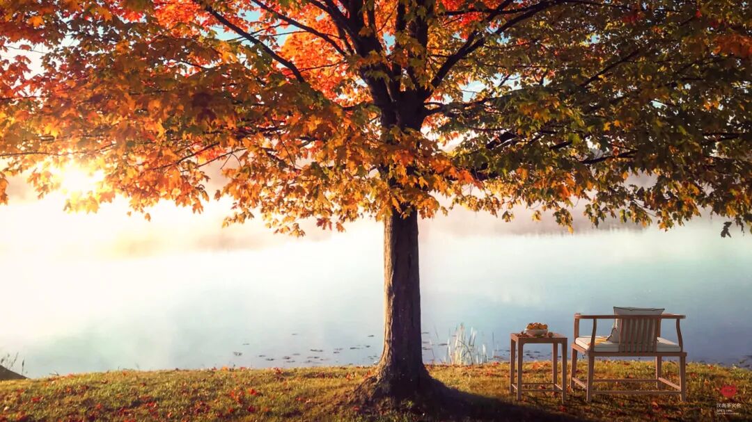 始于颜值，忠于坐感——感物，为久坐而生插图7