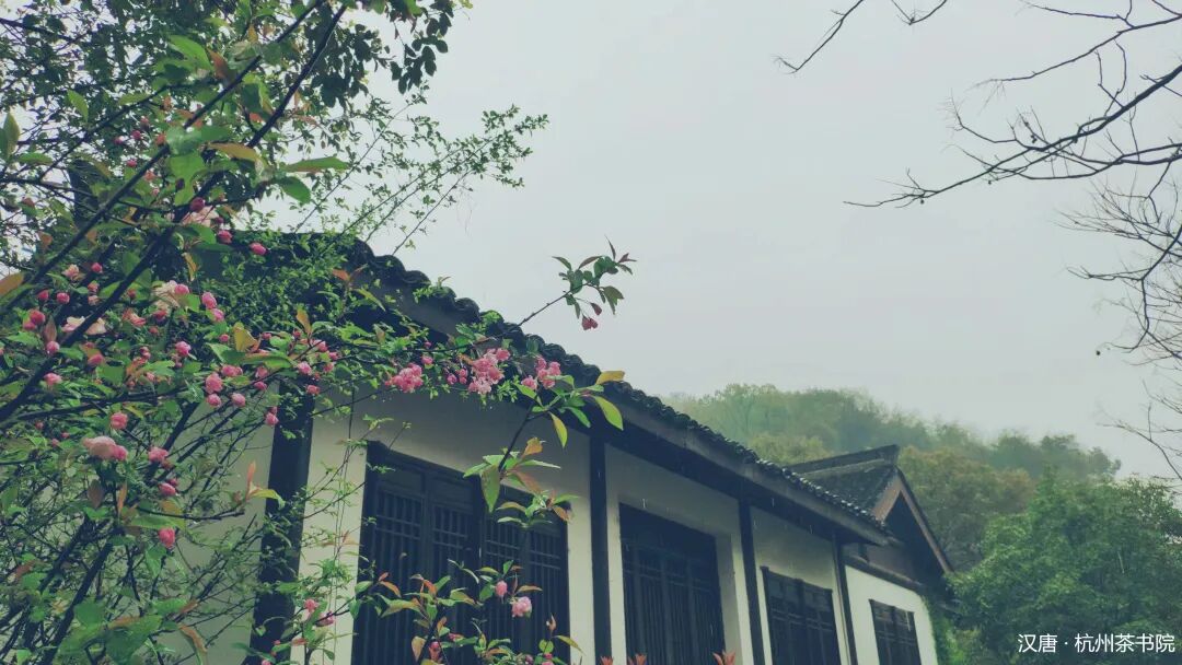 窥见中国院落一角插图4