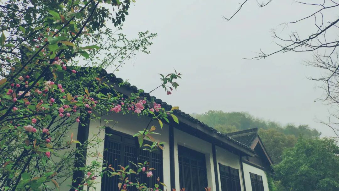 杭州茶书院启幕 | 当代「韩熙载夜宴」，复现中国文人雅趣生活插图16