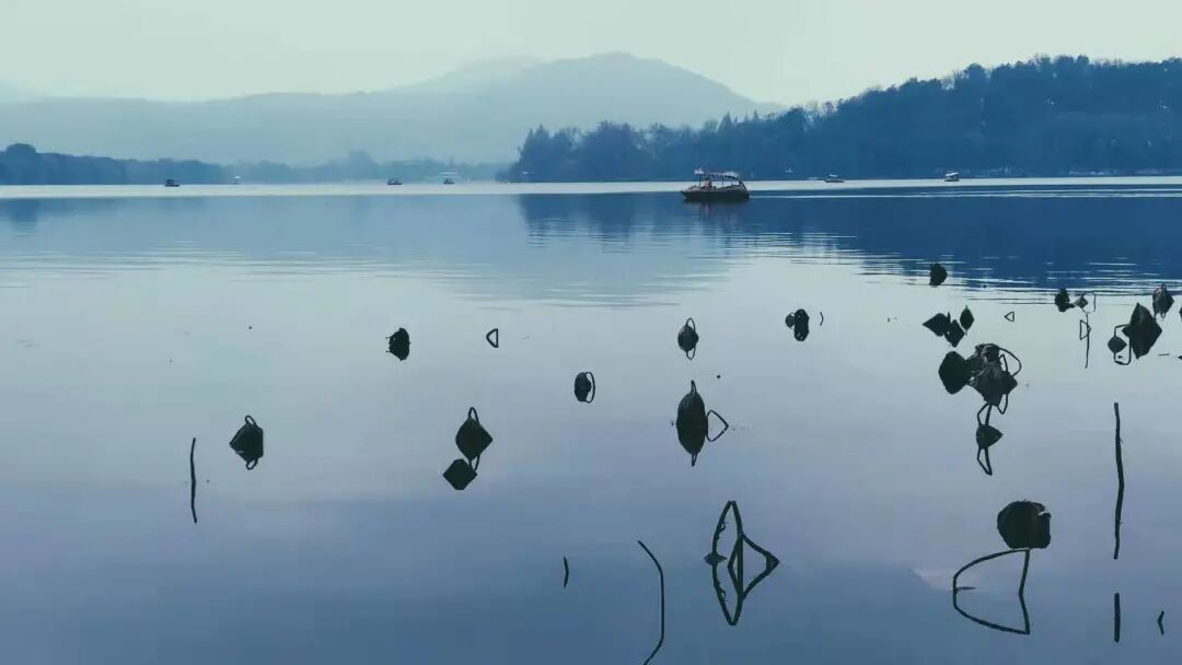 人间至味是清奢插图3