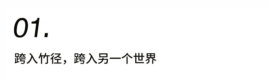 窥见中国院落一角插图2