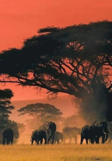 汉唐家具背后的材质美学插图