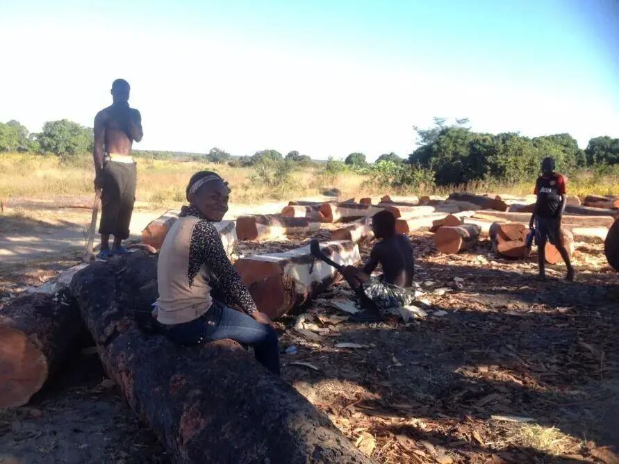 汉唐家具背后的材质美学插图4