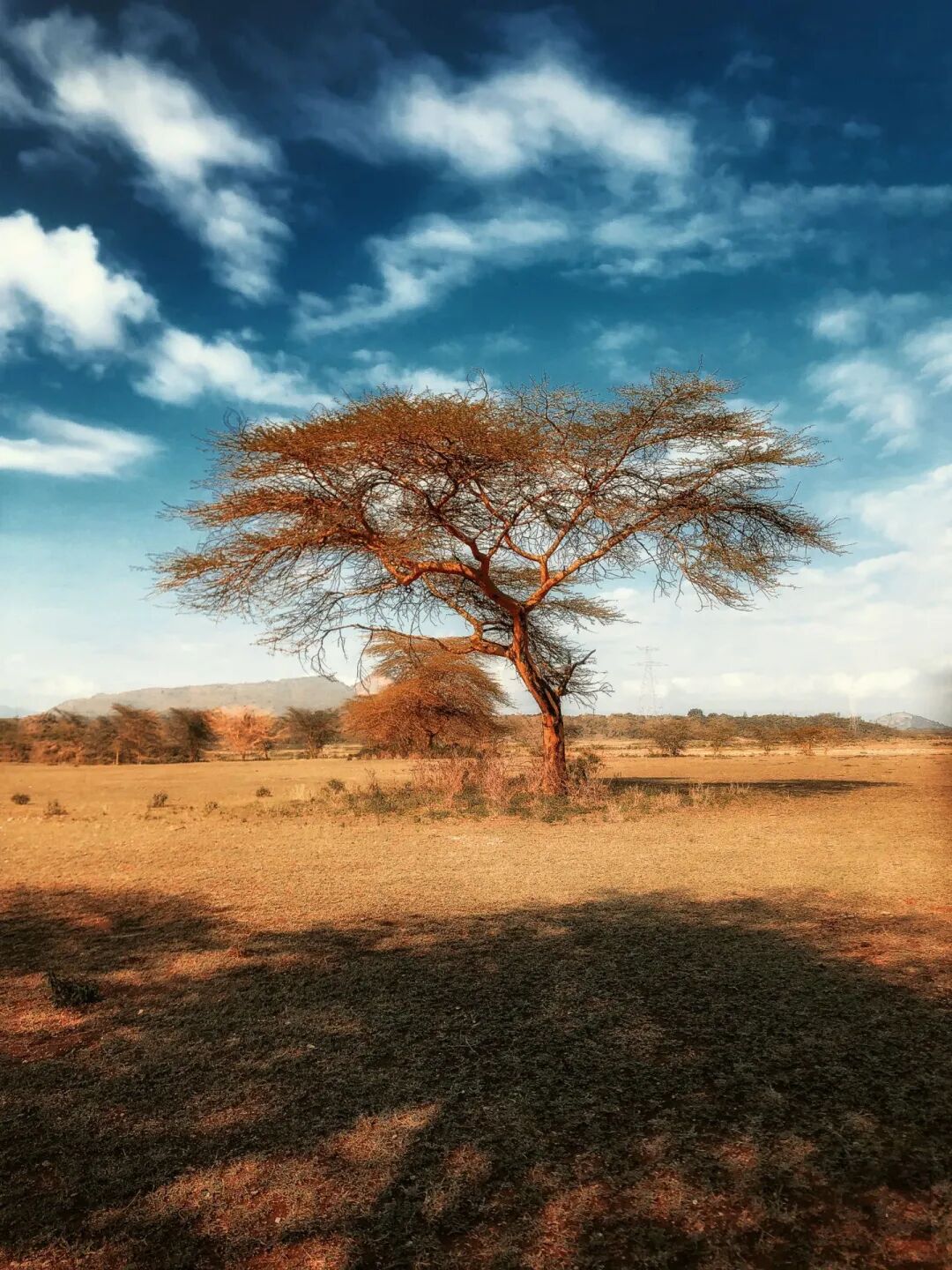 汉唐家具背后的材质美学插图2