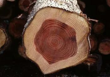 汉唐家具背后的材质美学插图3