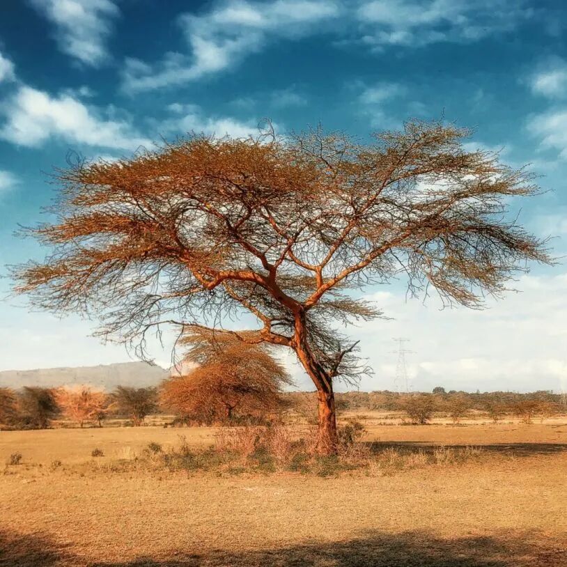 汉唐家具背后的材质美学插图1