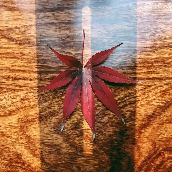 汉唐家具背后的材质美学插图15