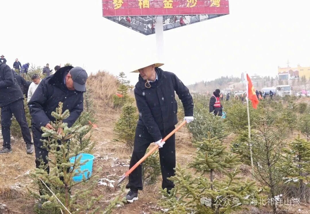 微信图片_20260427172503_150_281.jpg