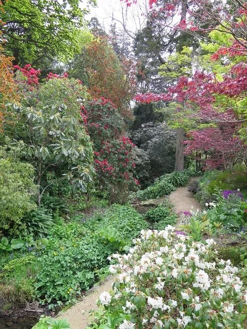 阿罗留学新西兰#6：但尼丁植物园