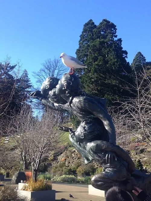 阿罗留学新西兰#6：但尼丁植物园