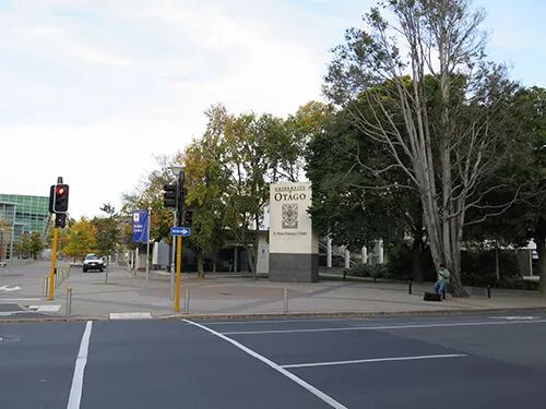 阿罗游学新西兰#4：终于在旦尼丁安顿下来啦