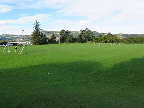 阿罗游学新西兰#4：终于在旦尼丁安顿下来啦