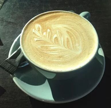 阿罗游学新西兰#4：终于在旦尼丁安顿下来啦